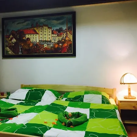 Guest house U Sirku Trebon